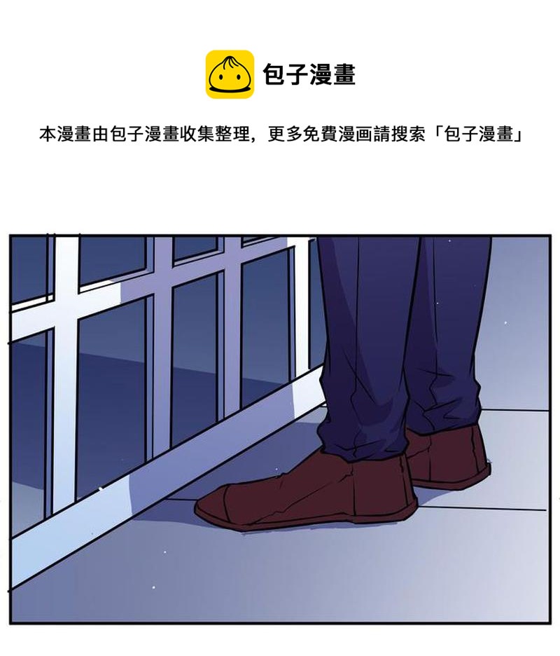 毛球星传说  第105集4