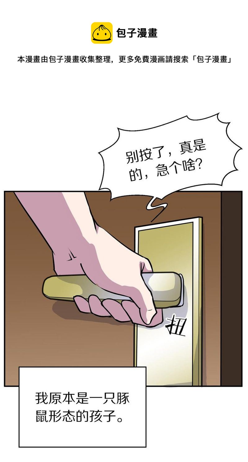 毛球星传说  第105集40