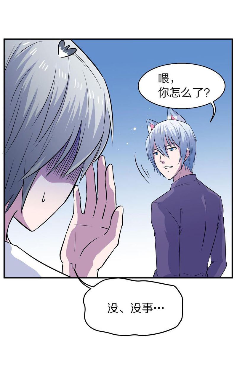 毛球星传说  第105集90