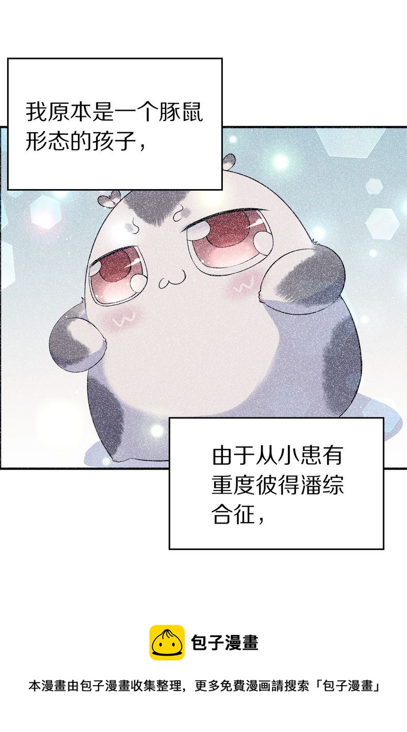毛球星传说  第118集108