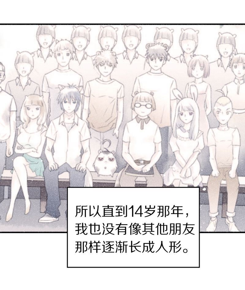 毛球星传说  第118集109