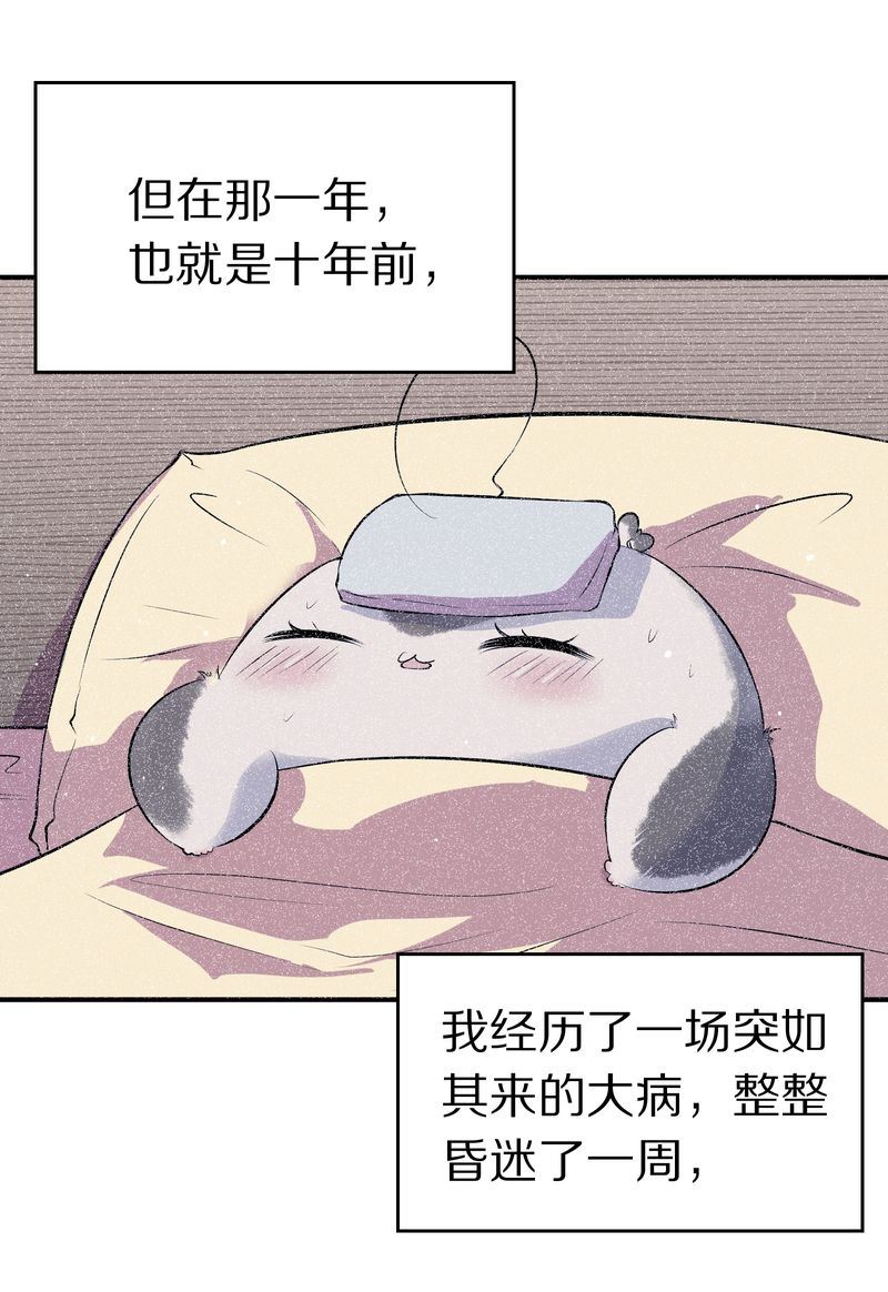 毛球星传说  第118集110