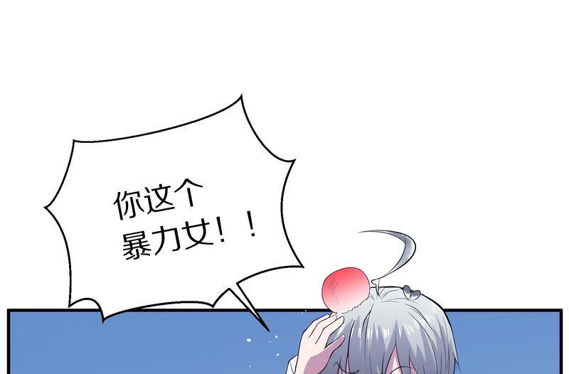 毛球星传说  第118集118