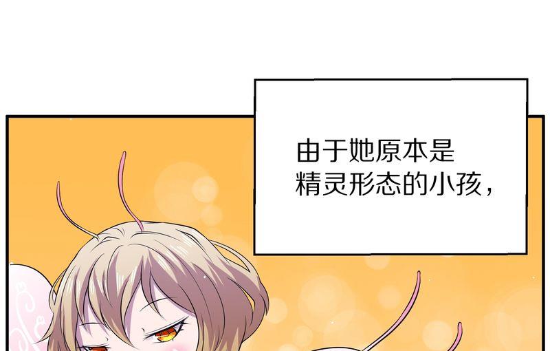 毛球星传说  第118集122