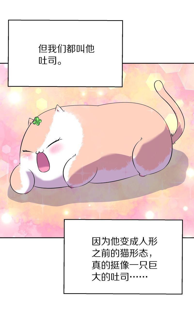 毛球星传说  第118集137
