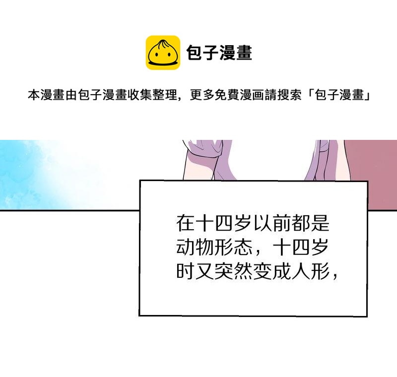 毛球星传说  第118集140