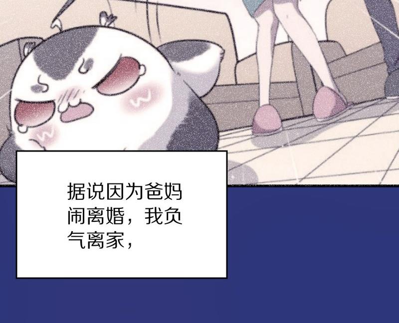毛球星传说  第118集169