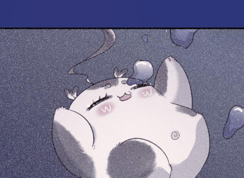 毛球星传说  第118集170