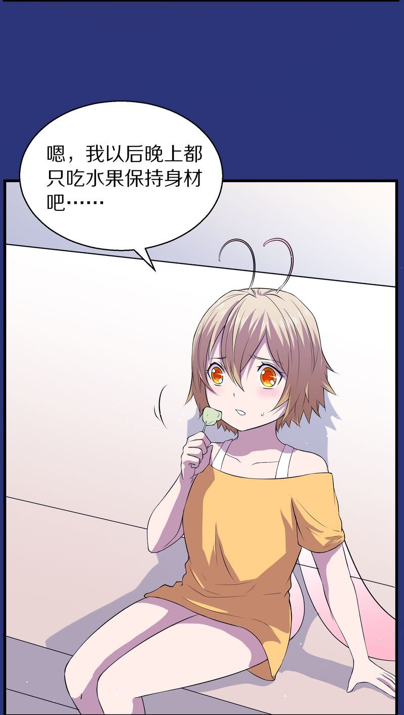 毛球星传说  第118集178