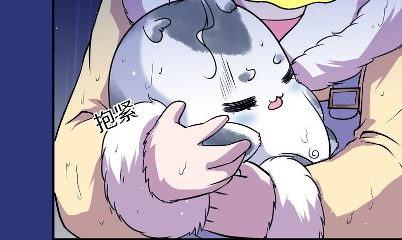 毛球星传说  第118集19