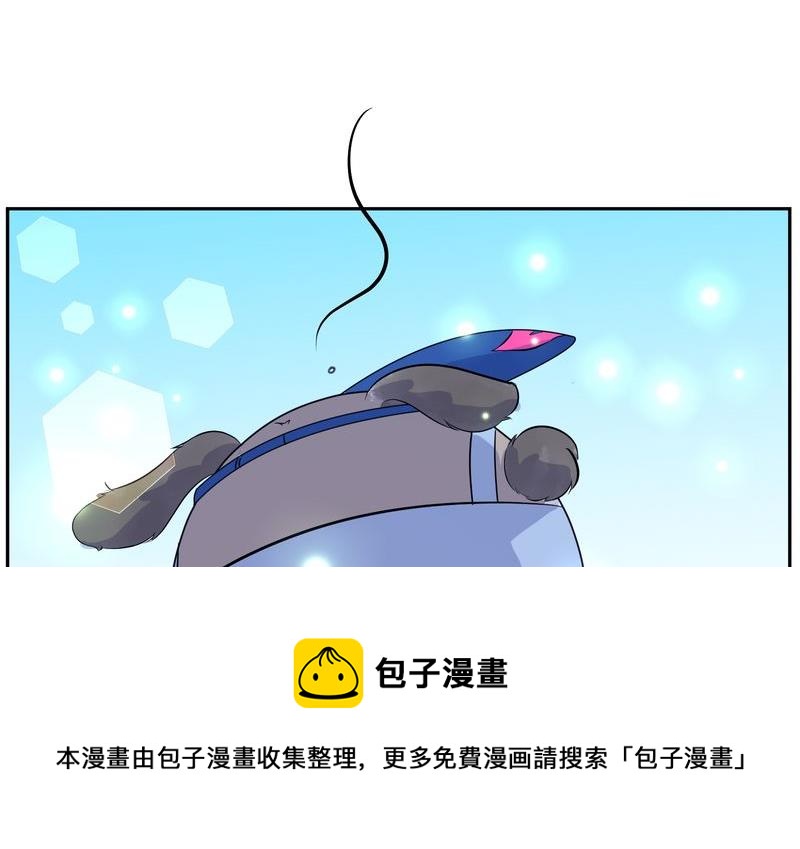 毛球星传说  第118集192