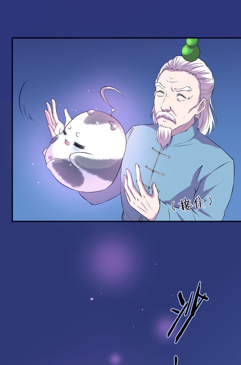 毛球星传说  第118集58