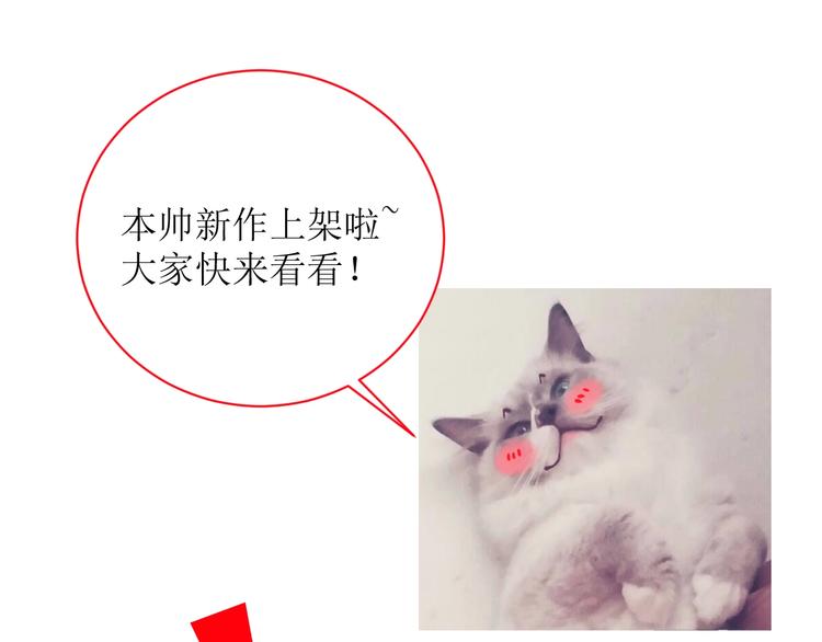 新作上线 美男抽卡游戏0