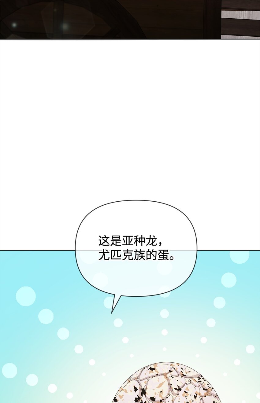 28 解剖31