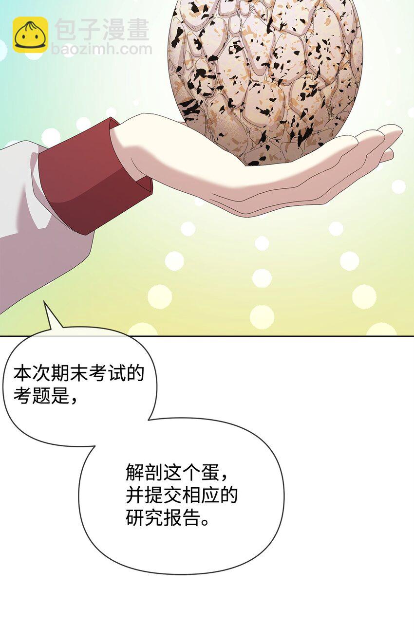 28 解剖32