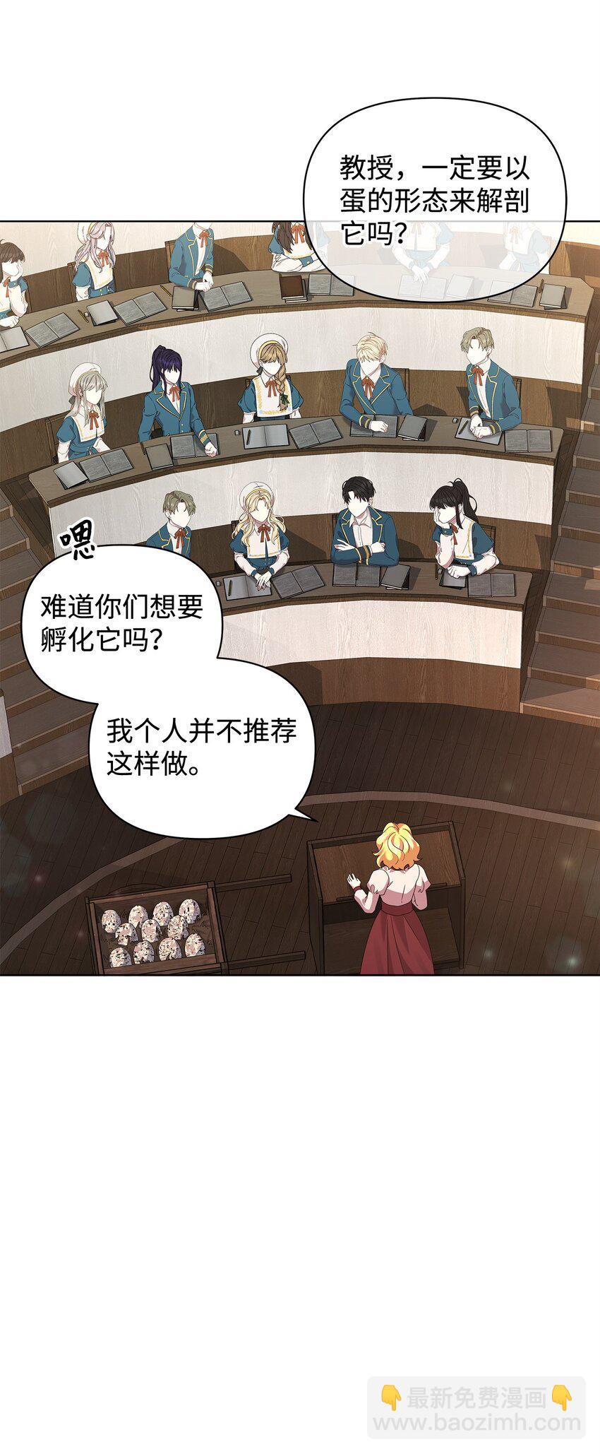 28 解剖33