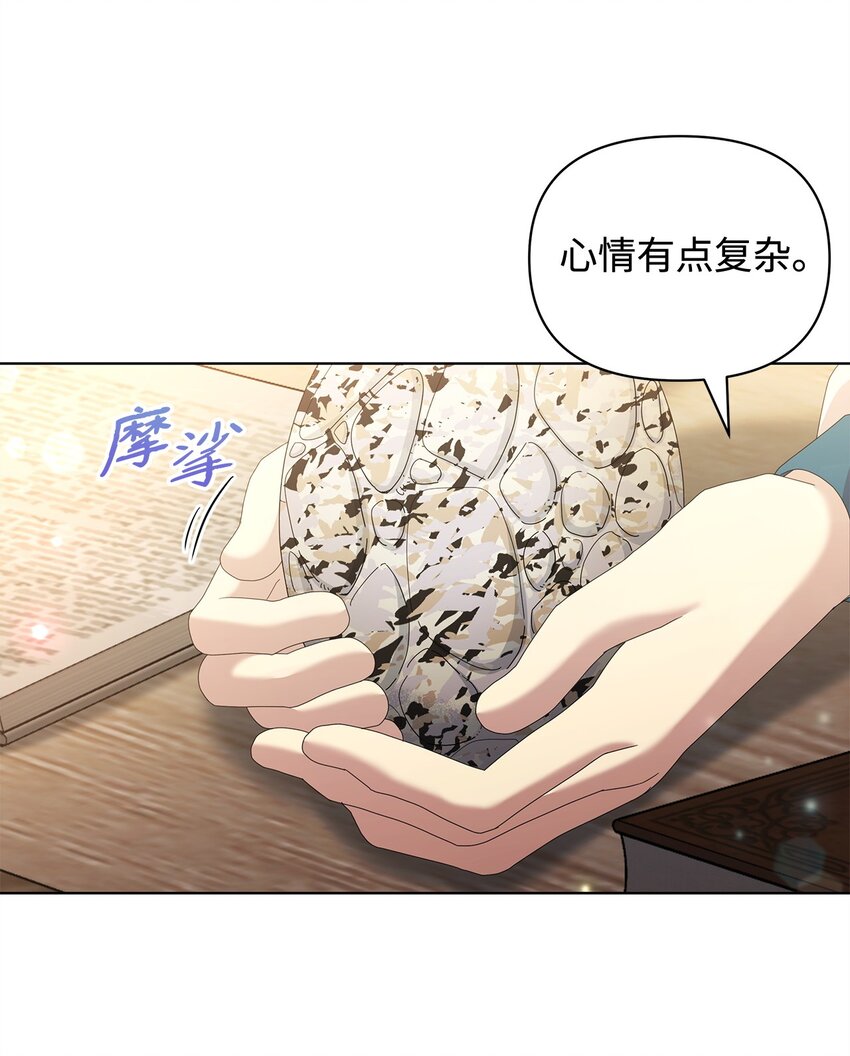 28 解剖36