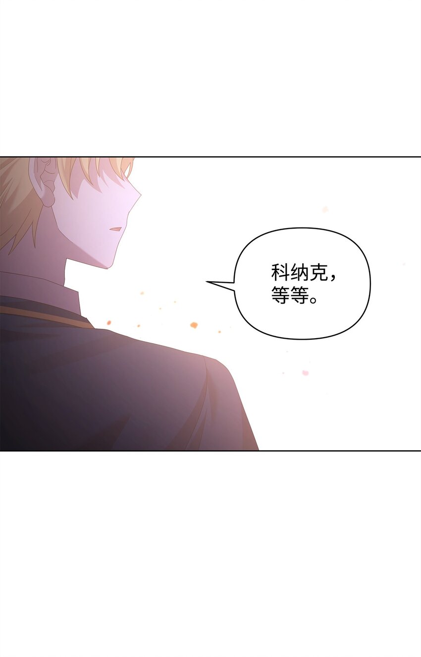 28 解剖4