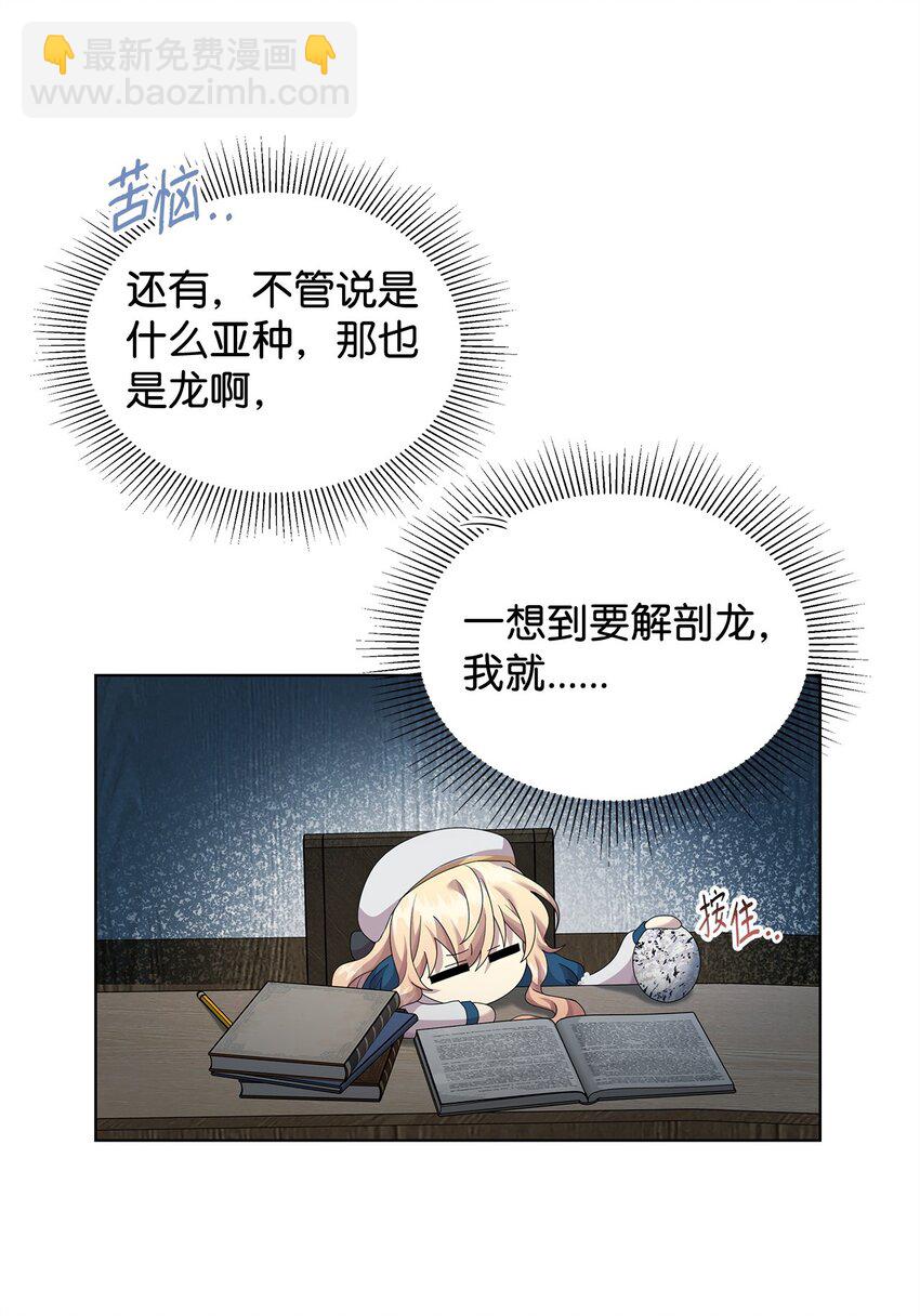 28 解剖41