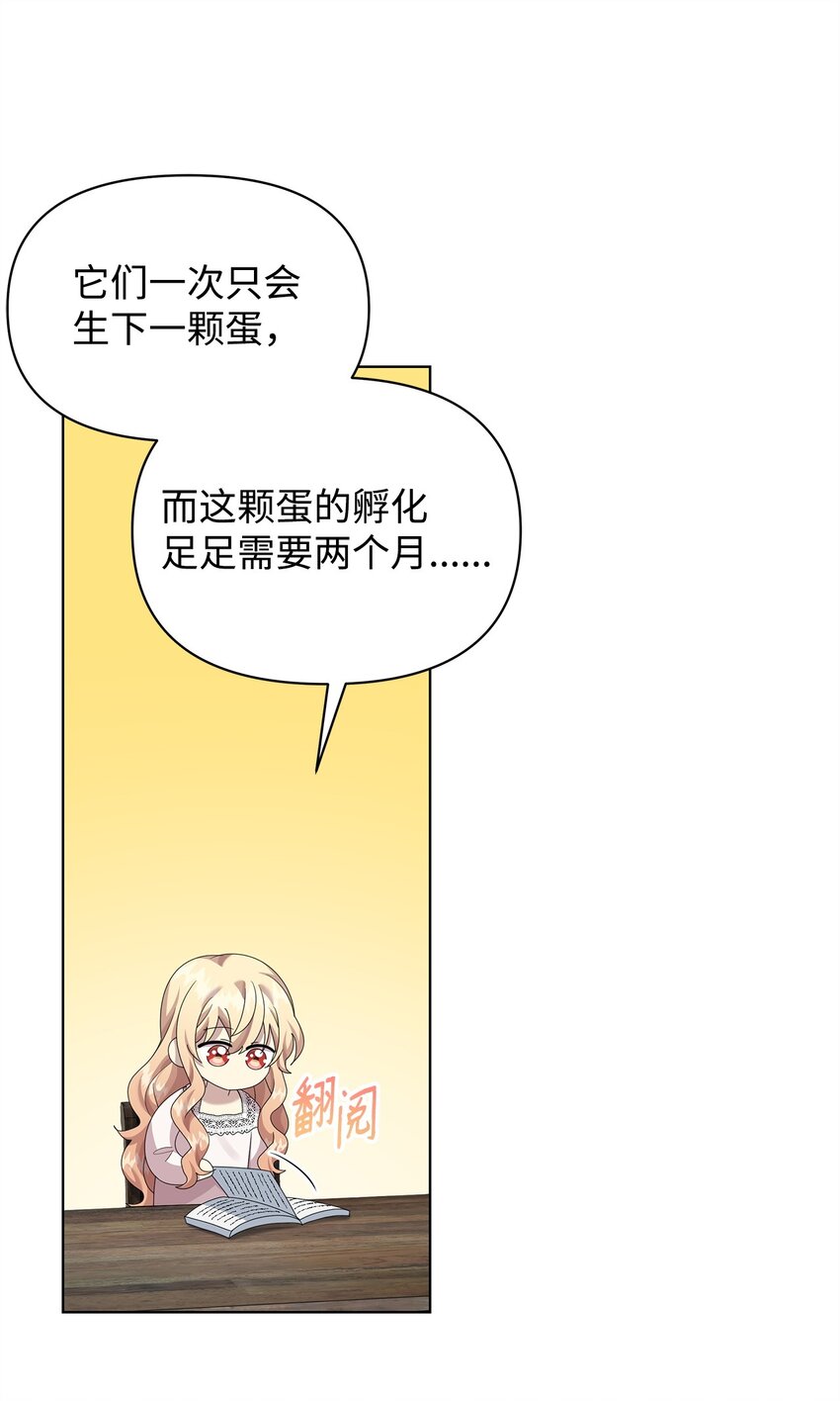 28 解剖56