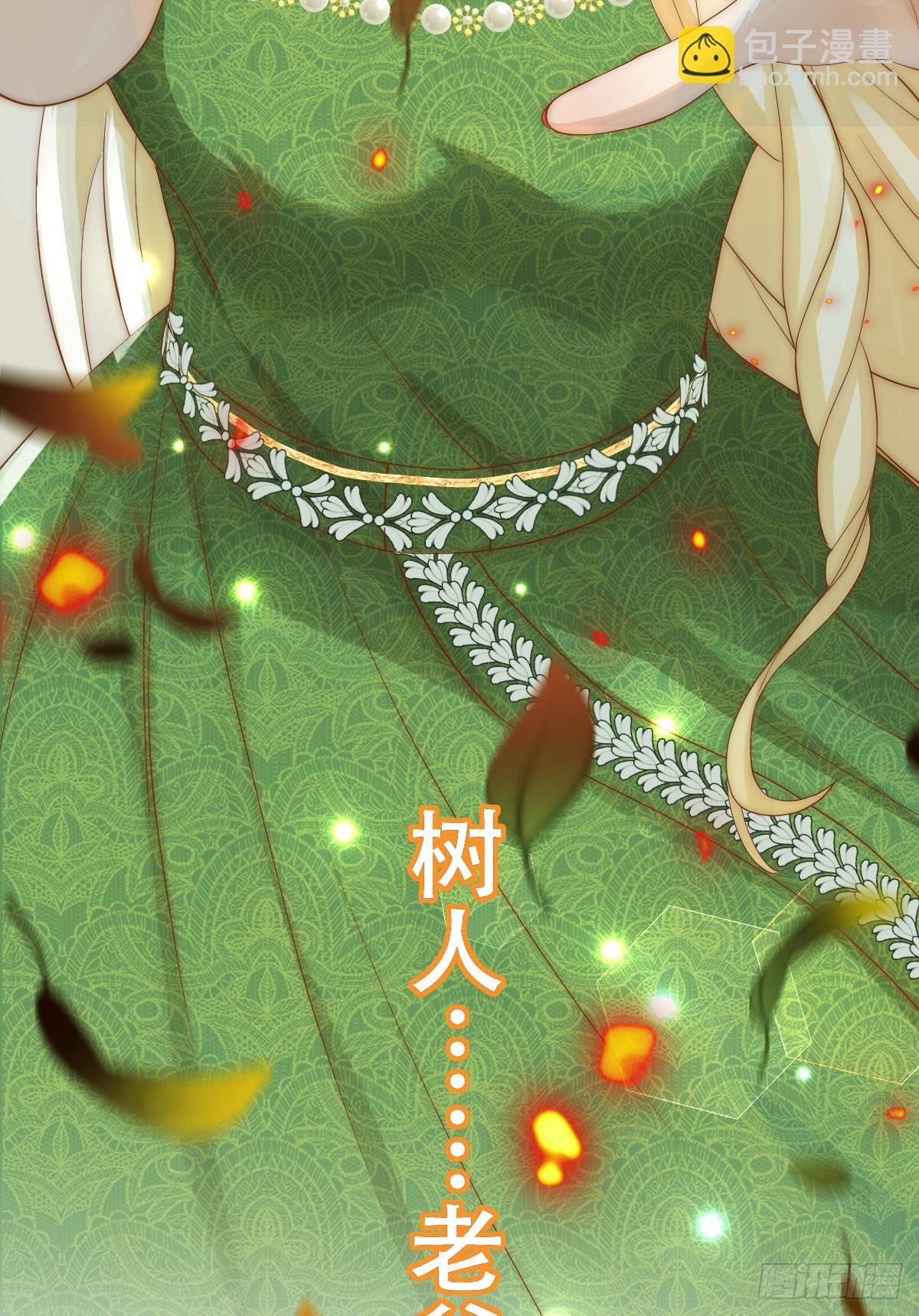 公主怎能没有王冠呢23