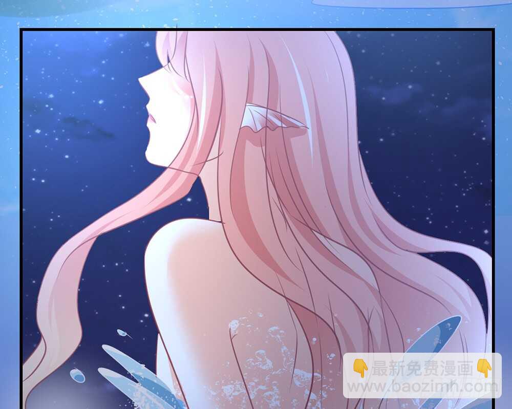 chapter·06436