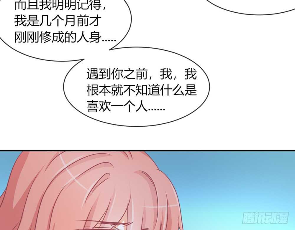 chapter·06461