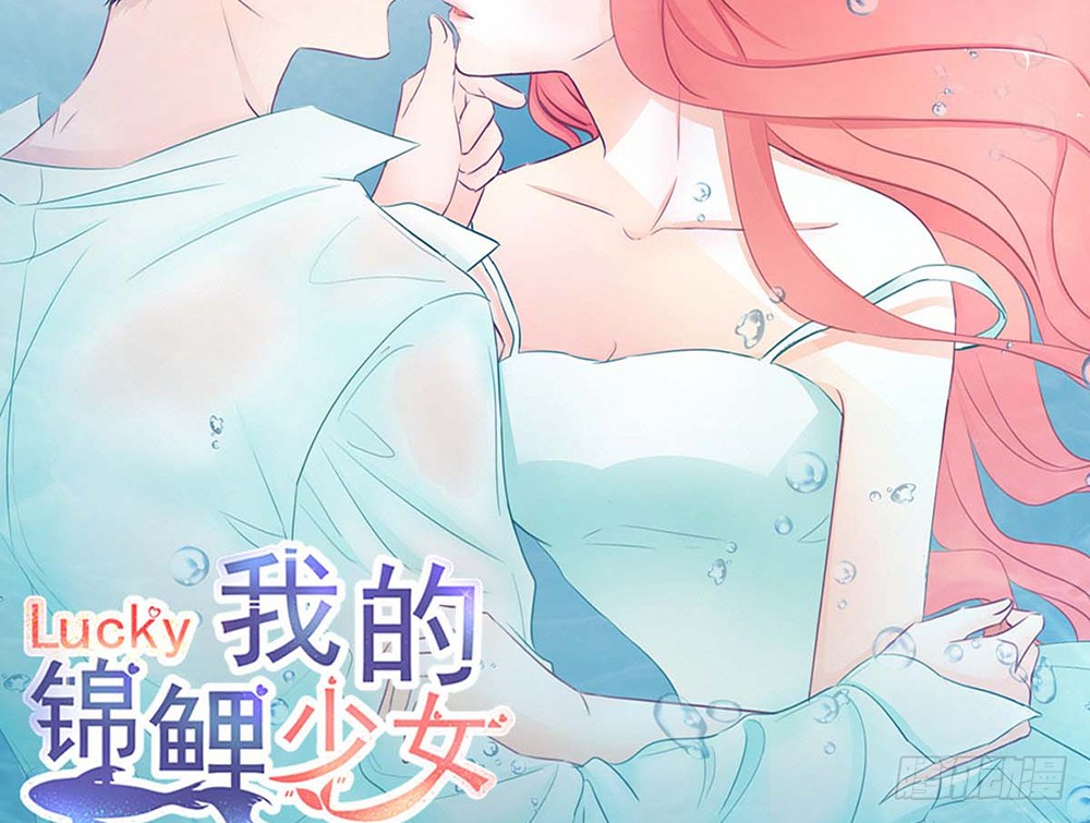 chapter·0904