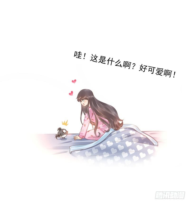 第16话：南界汇合10