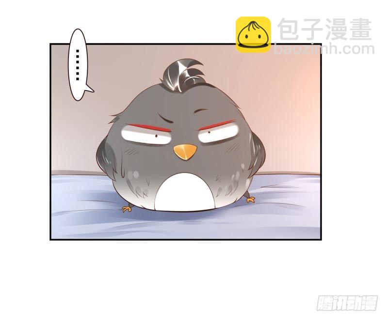 第16话：南界汇合11