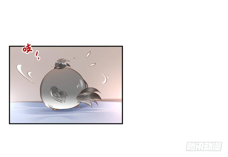 第16话：南界汇合12