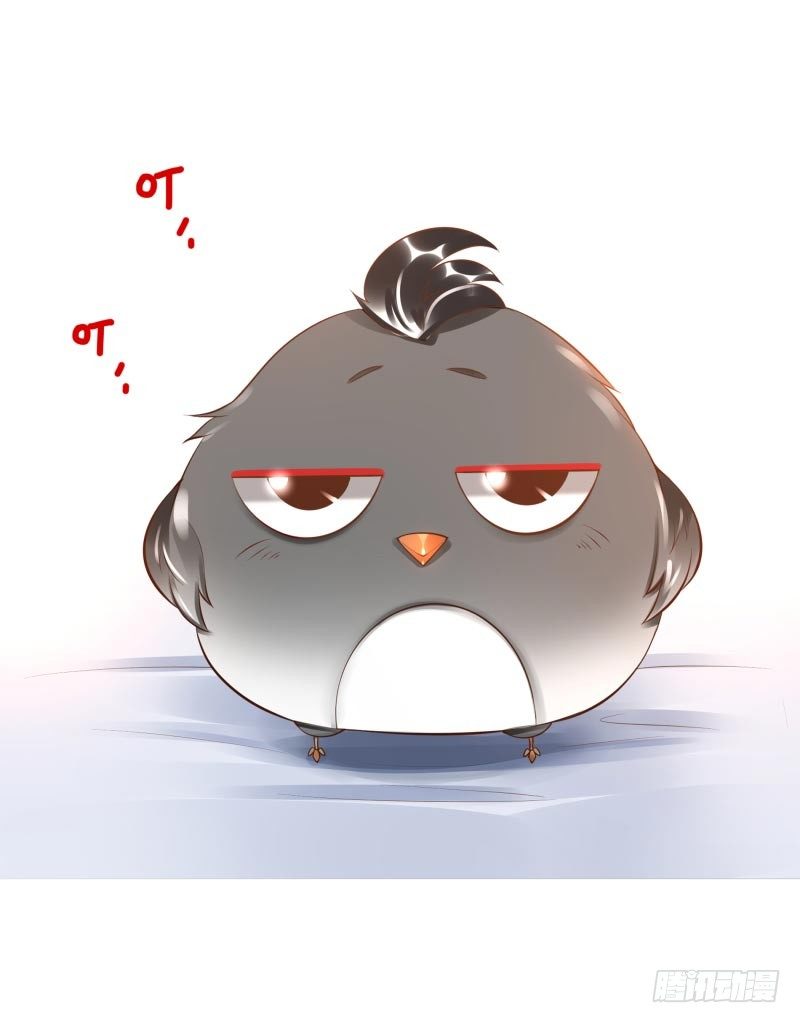 第16话：南界汇合8