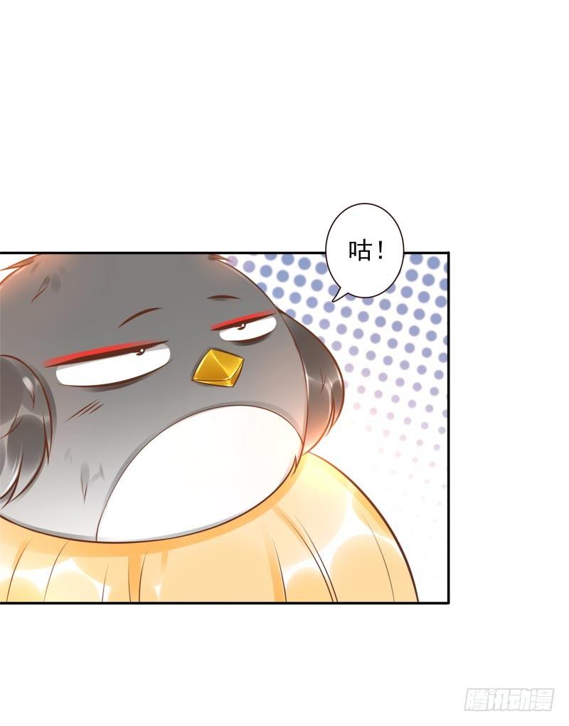 第34话：对牛弹琴13