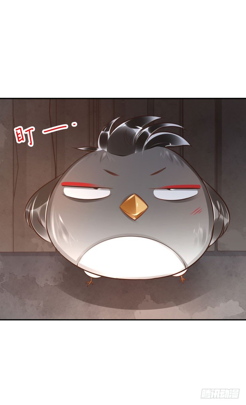 第50话：无回头路17