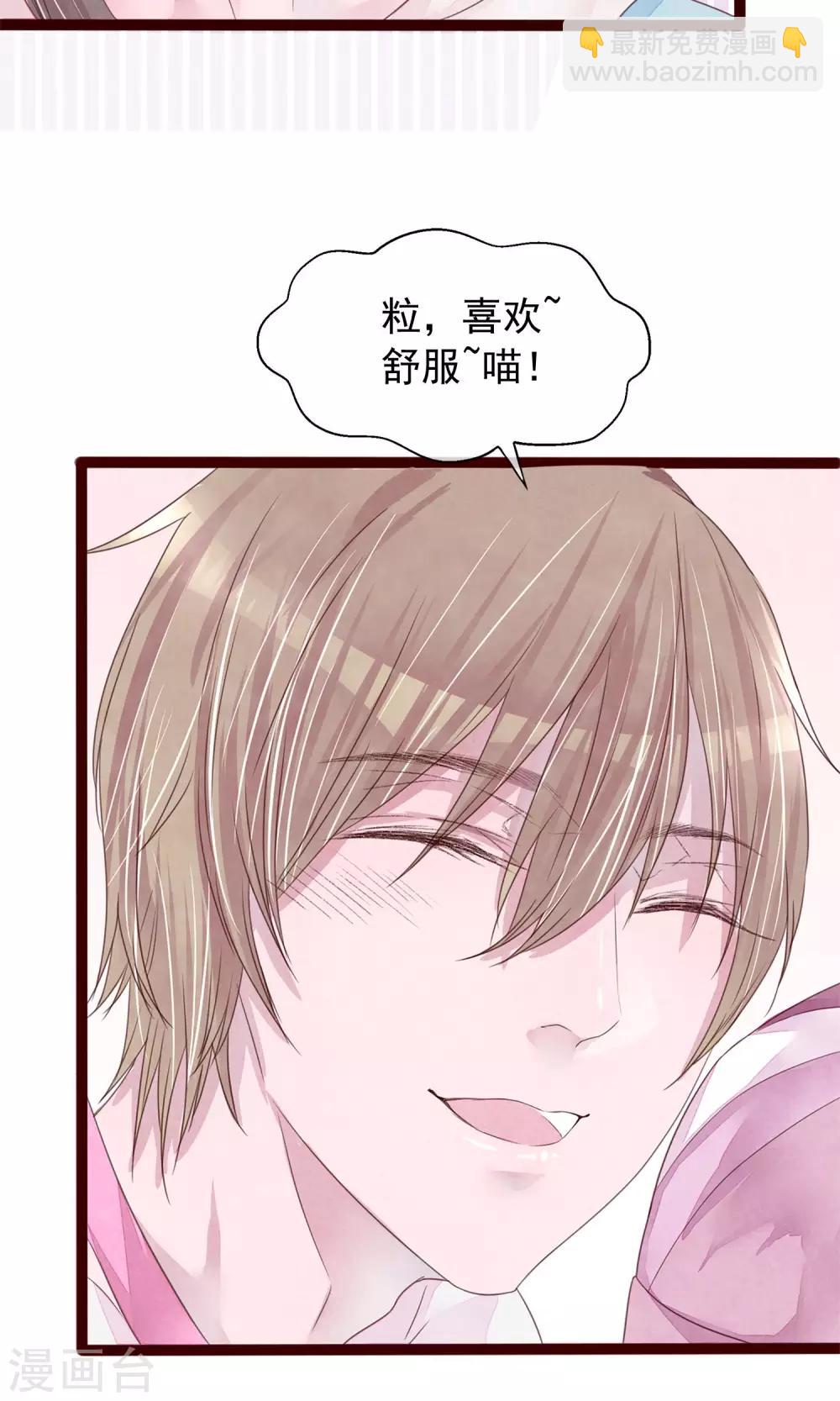 第5话 打扮我的喵4