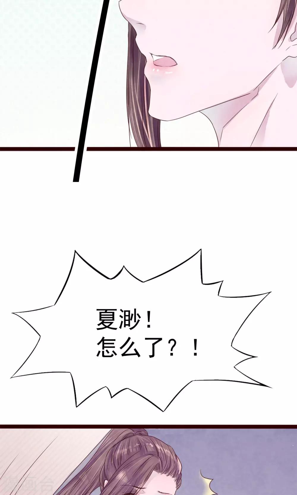 第5话 打扮我的喵44