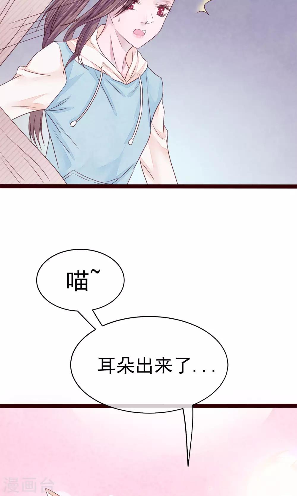 第5话 打扮我的喵45