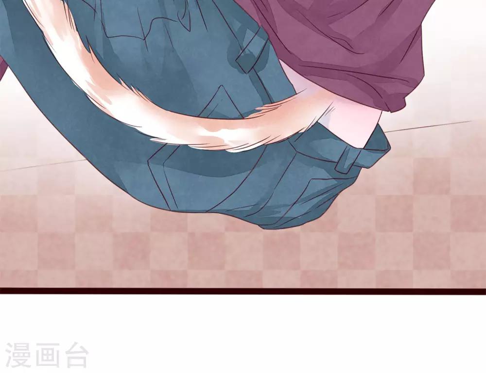 第5话 打扮我的喵47