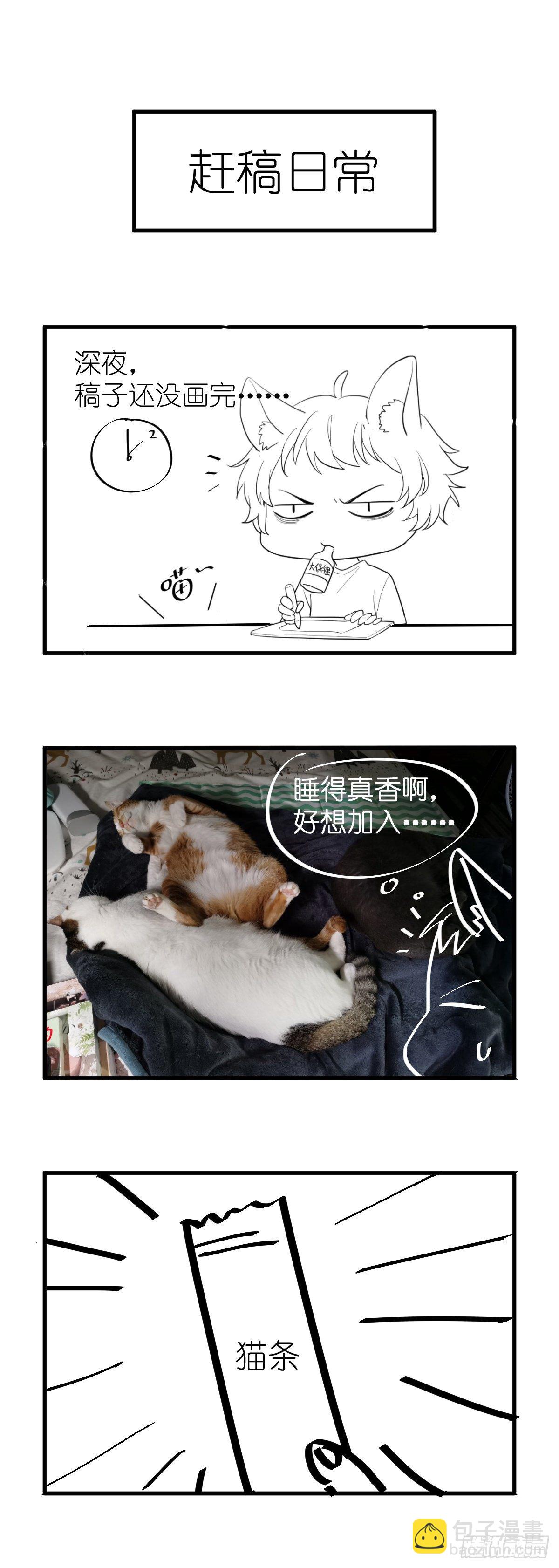 骗子烂好人29