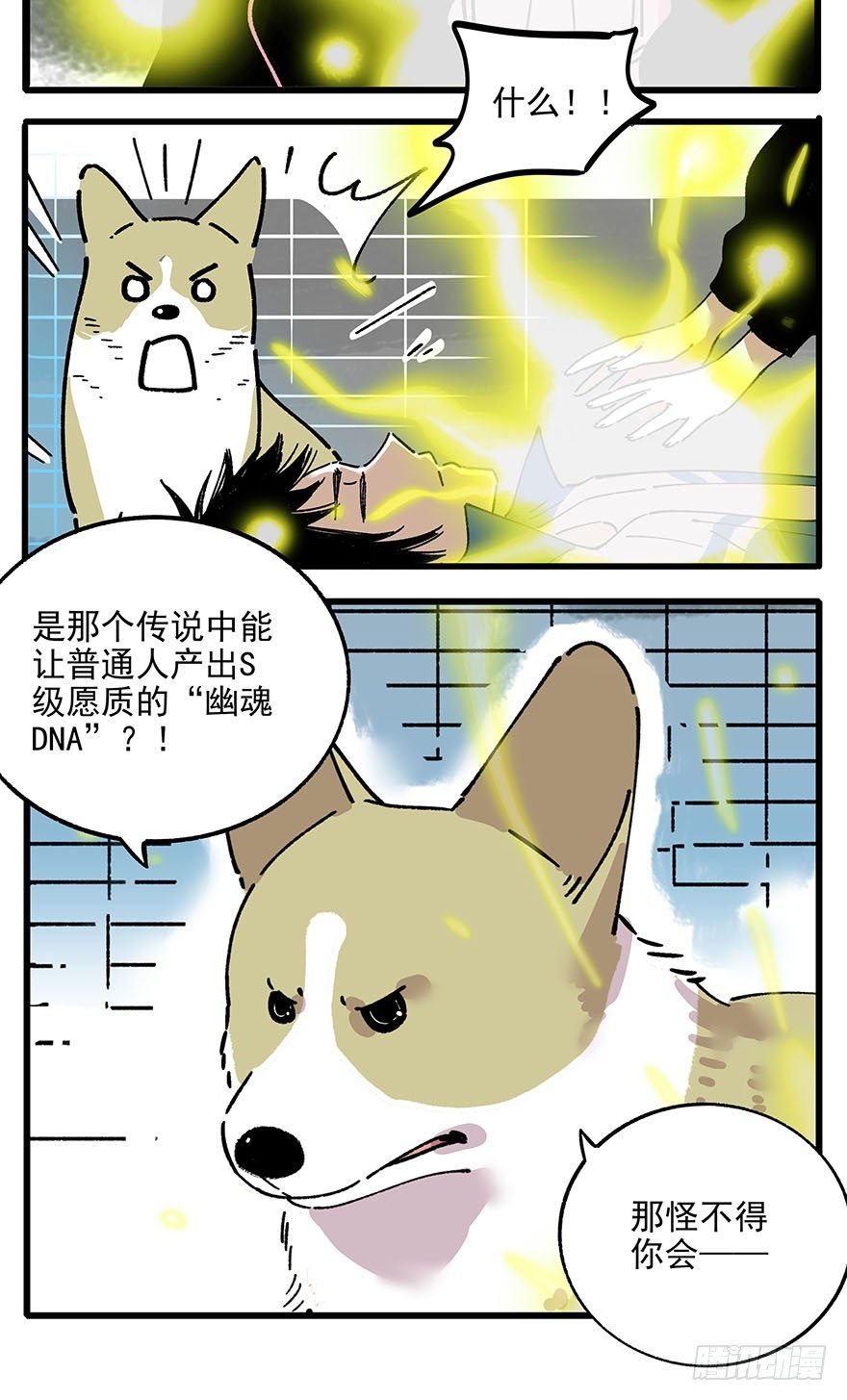 009-不好意思，我们男主死了！17