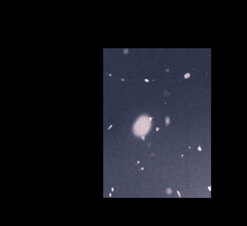 第五话 小怜 （三）31