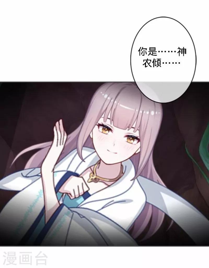 第49话 何为长生花？31
