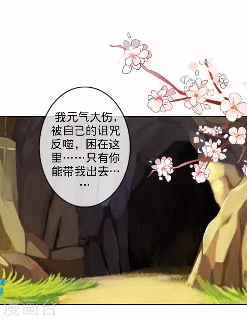 第49话 何为长生花？41
