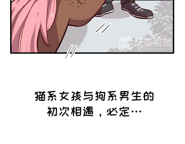 序章 狸猫女与哈士奇男世纪大战37