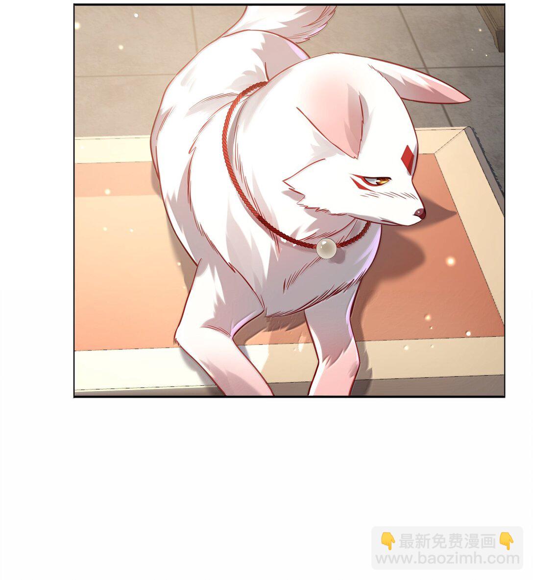 051 谁与狗不得入内？10