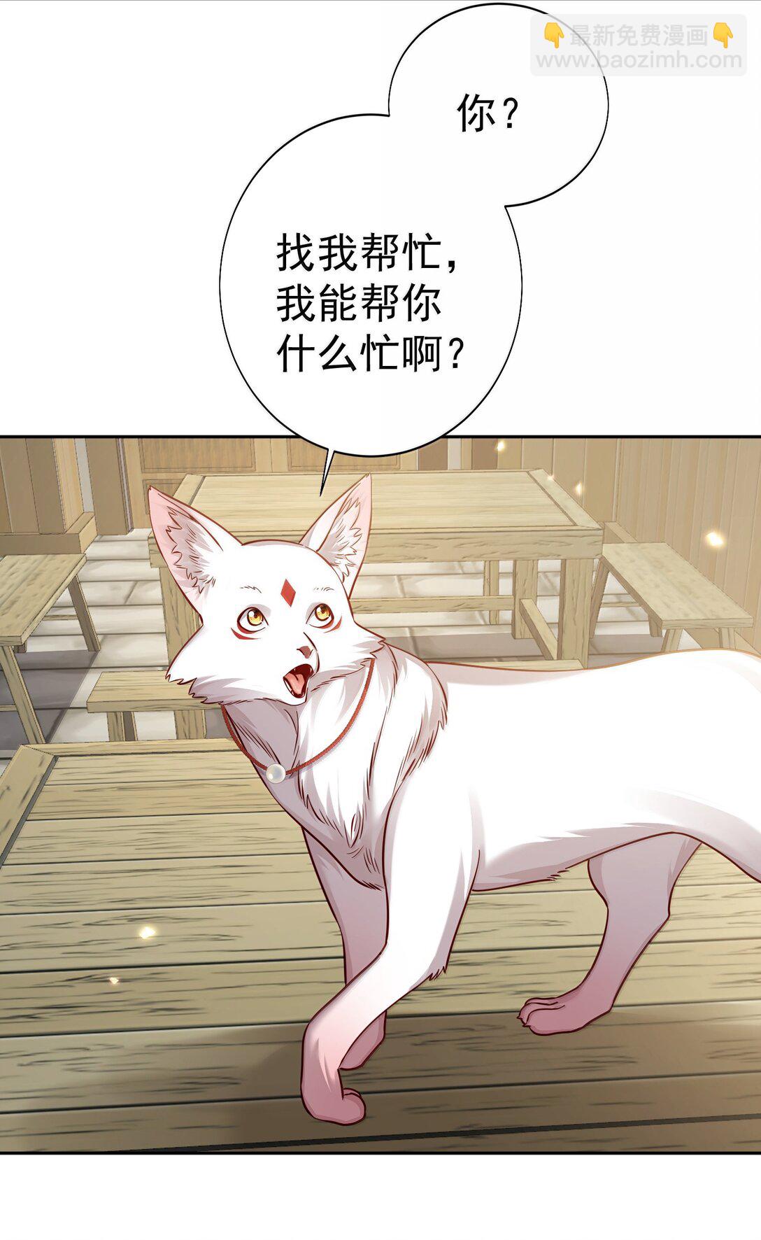 051 谁与狗不得入内？17