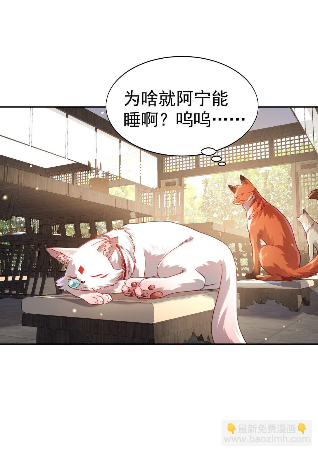 051 谁与狗不得入内？3
