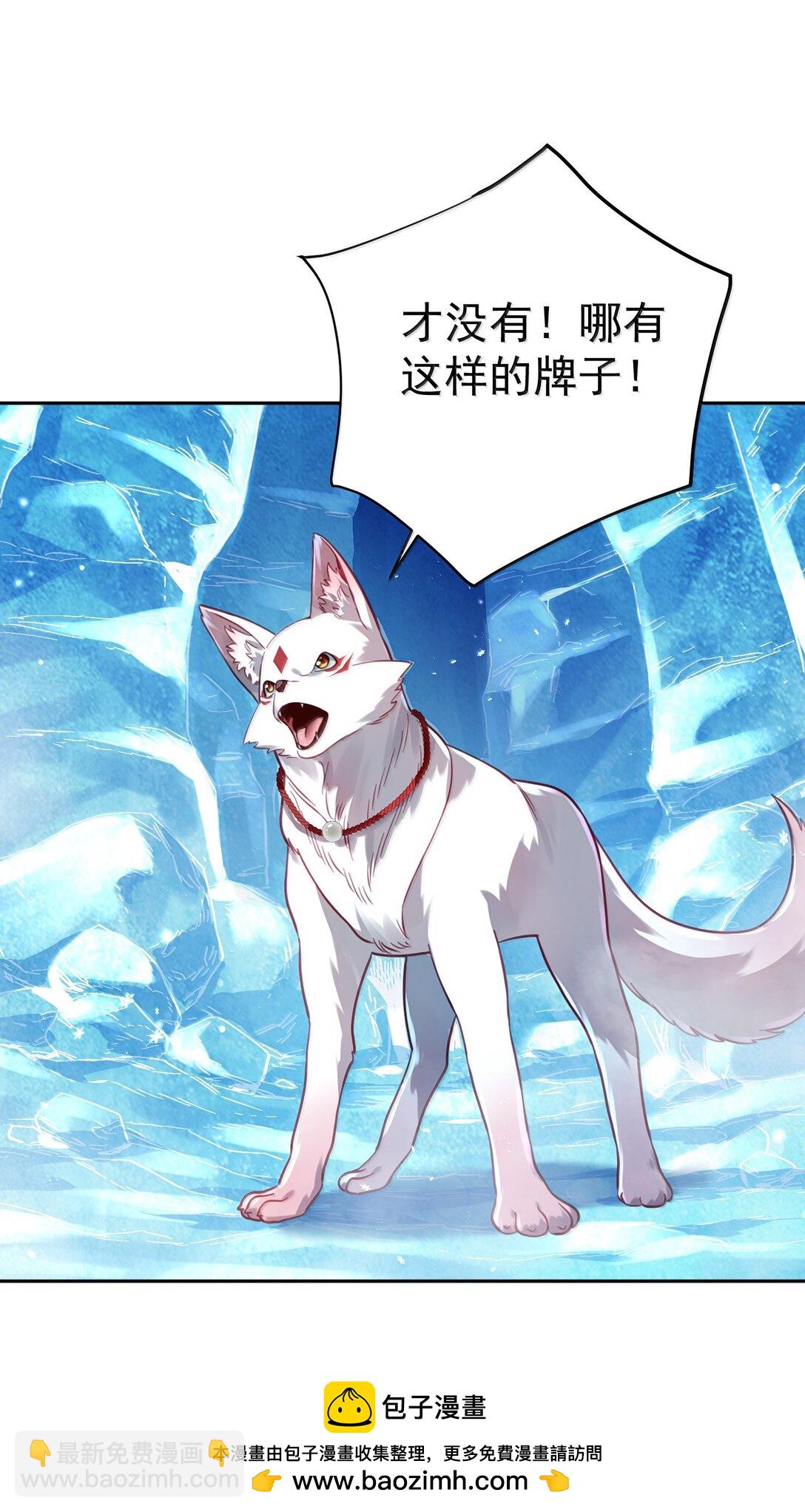 051 谁与狗不得入内？53