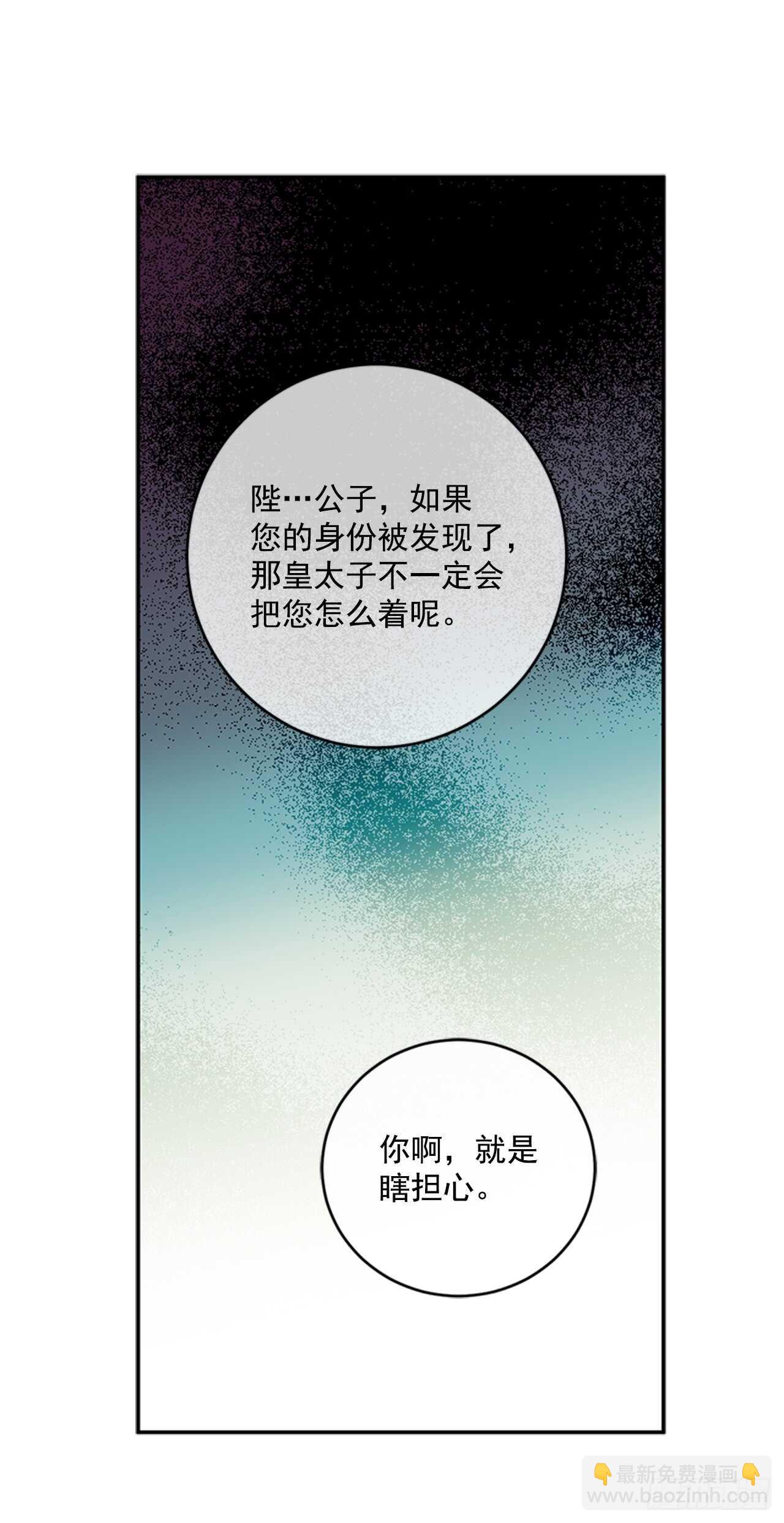 14.西部帝国的皇帝40