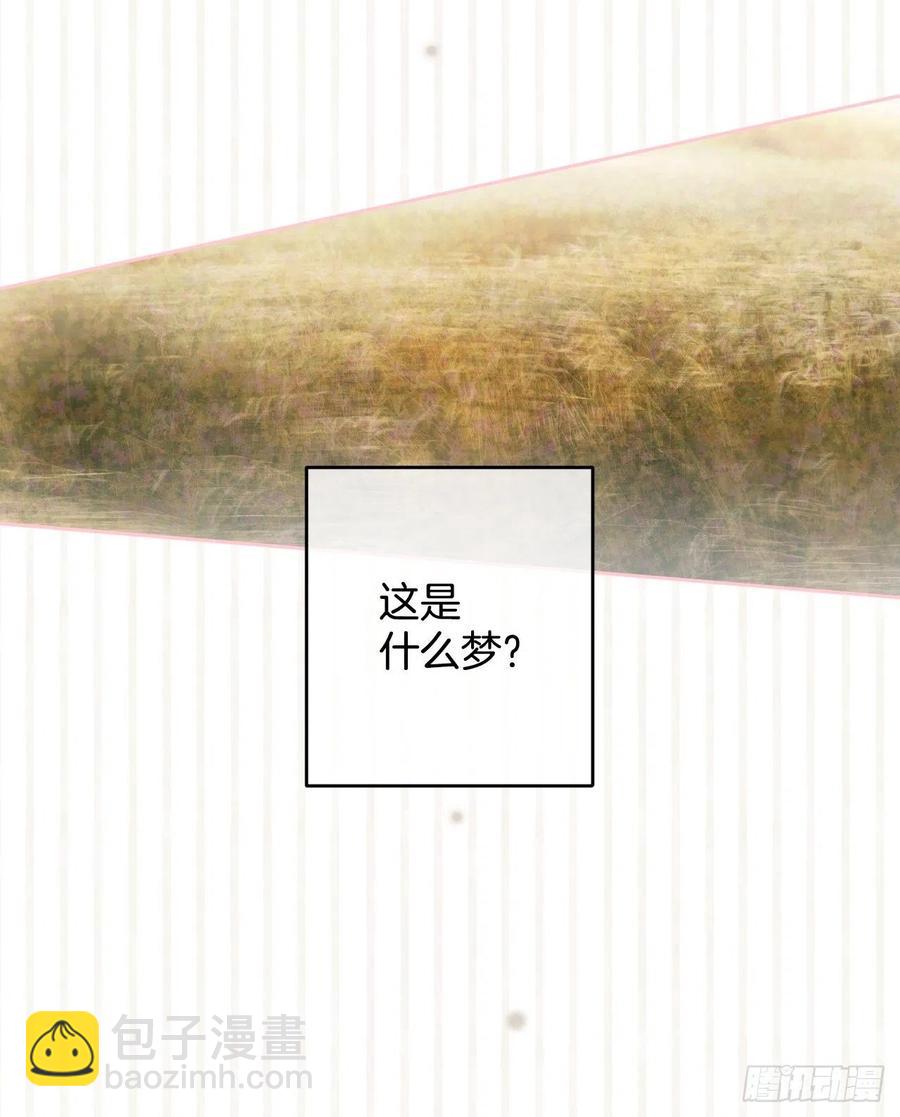 45.梦中的启示29